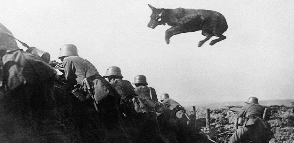 Adolf Hitler kabalának tartott maga mellett egy kutyát az első világháborús lövészárkokban
